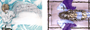 Title pages vol.20 ch.115 / vol.19 ch.109